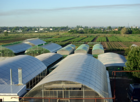 Реконструкция тепличного предприятия «Южное подворье»