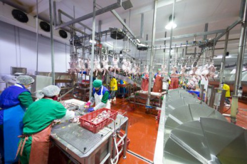 «Евродон» увеличил объем выпуска и ассортимент продукции из мяса индейки