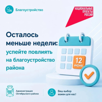 Осталось меньше недели: успейте повлиять на благоустройство района