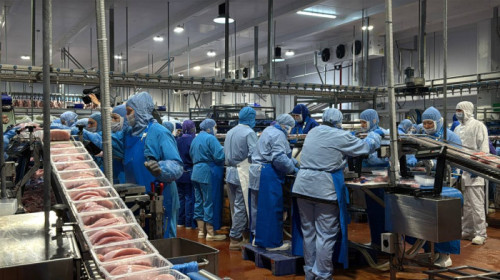 Расширяется производство продукции из мяса индейки