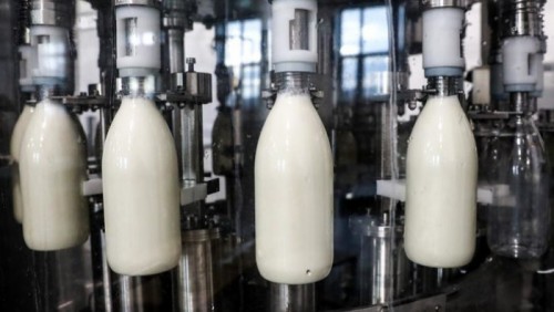 Стартовала добровольная маркировка молочной продукции
