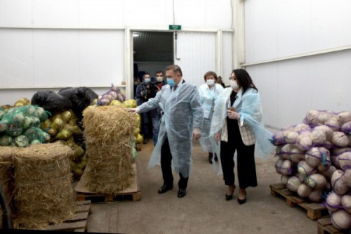 СПСК «Донские овощи» поделился на региональном уровне  опытом реализации продукции в социальной сфере района