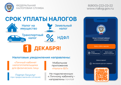 Не забудьте уплатить имущественные налоги!