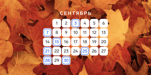 Календарь предпринимателя на сентябрь 2026 года