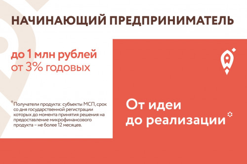 В Ростовской области запущен льготный микрозаем для начинающих предпринимателей