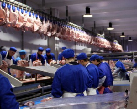 Мясокомбинат «Евродон» увеличит число работников на 30%  до конца года