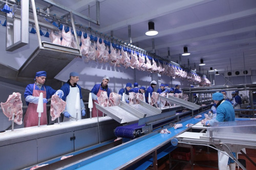 За 1 полугодие на предприятии «Индюшкин двор» произвели 31 тыс тонн мяса индейки