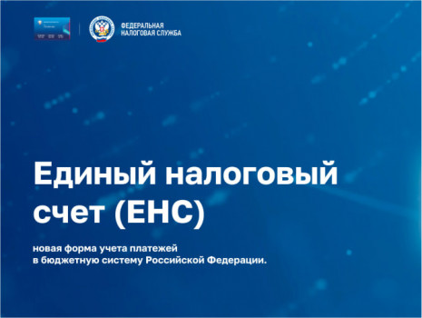 Актуальные вопросы применения ЕНС